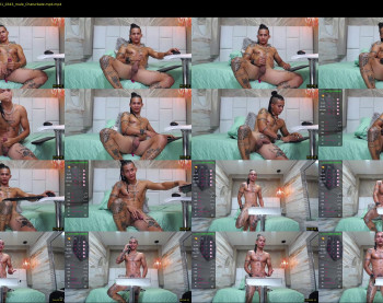 falcon_prince20