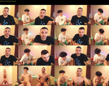 teddy_mode