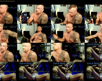 muscle_dog
