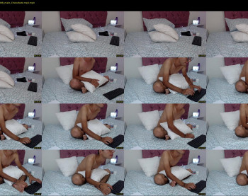 apolo_grey