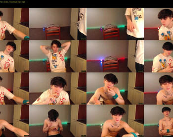 teddy_mode