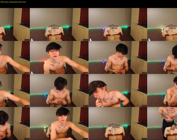 teddy_mode
