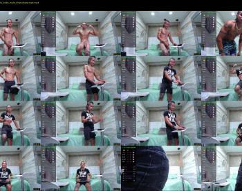 falcon_prince20