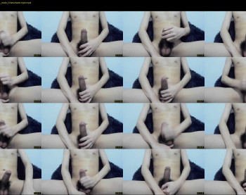 rex_w96