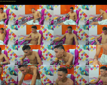 davibrandon