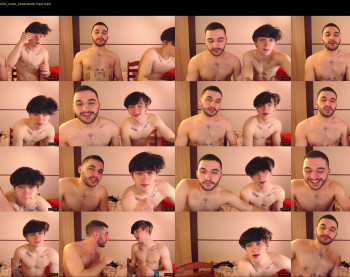 teddy_mode