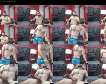 nachoviddall