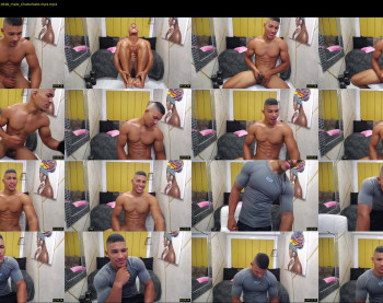 teddyfit19cm