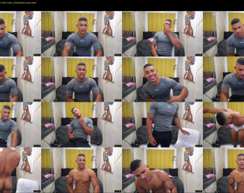 teddyfit19cm