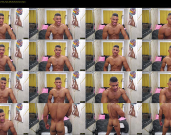 teddyfit19cm