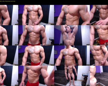 bestmuscle