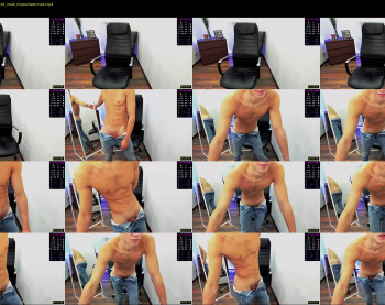 sheff_body