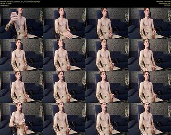willardgram