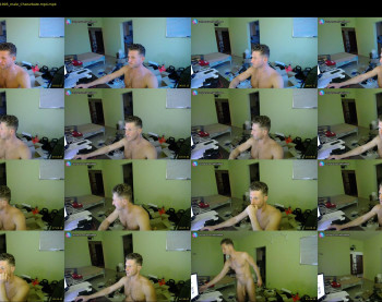 apollobest77