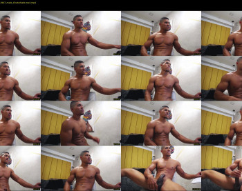 teddyfit19cm