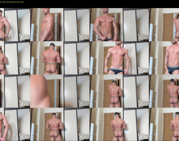 _adam19