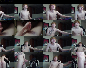 alvin__main