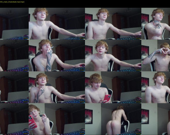 alvin__main