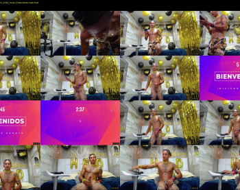 falcon_prince20
