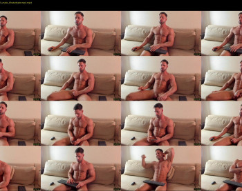 _adam19