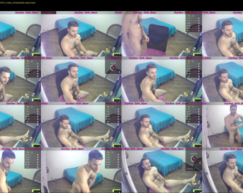 osito_blanco