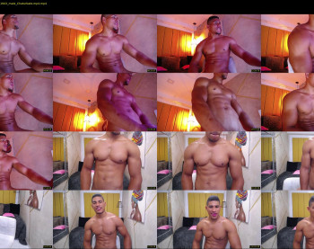 teddyfit19cm