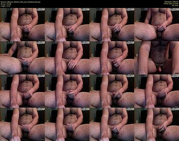 allthebeef