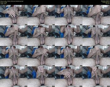 pellux