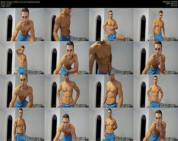 vincent_o