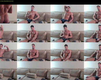 _adam19