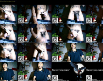 cloudwolf125