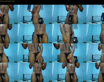 donato_dly