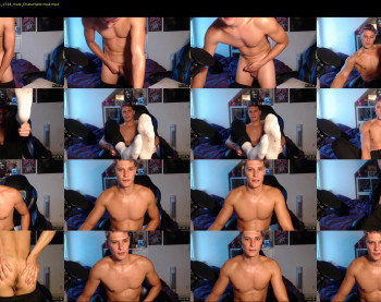 misterydragon