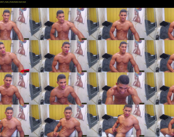 teddyfit19cm
