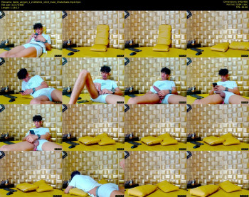 twink_vergon_1