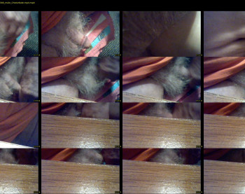 stillhorny53