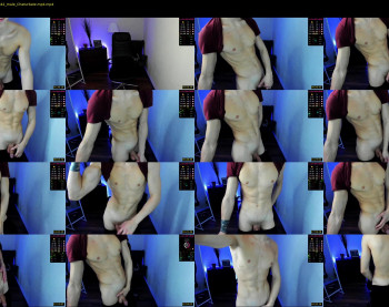 sheff_body
