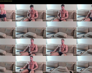 _adam19