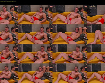 steevemuscle