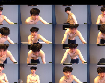 teddy_mode