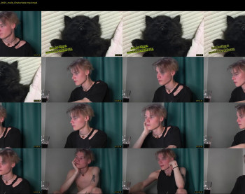 vantablackcat