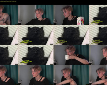 vantablackcat
