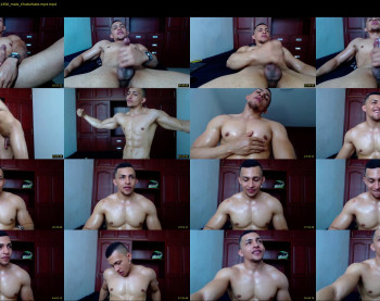 martin_logan