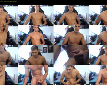 misterydragon