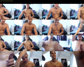 misterydragon