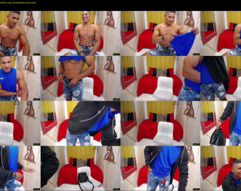 teddyfit19cm