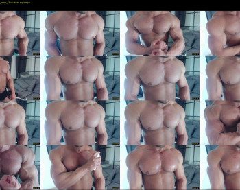 flex_x_x