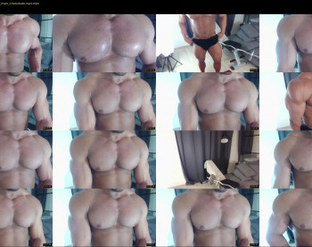 flex_x_x