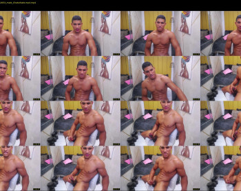 teddyfit19cm