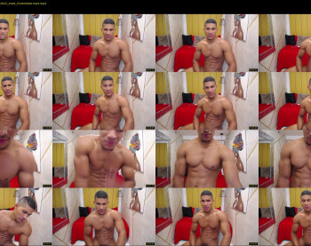 teddyfit19cm